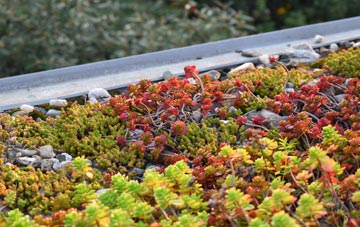 the cost of Whitleigh green roof installation
