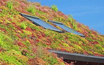 Whitleigh living roof systems